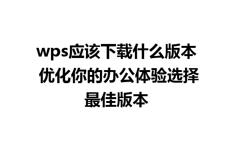 wps应该下载什么版本 优化你的办公体验选择最佳版本