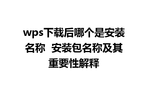 wps下载后哪个是安装名称  安装包名称及其重要性解释