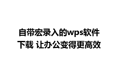 自带宏录入的wps软件下载 让办公变得更高效