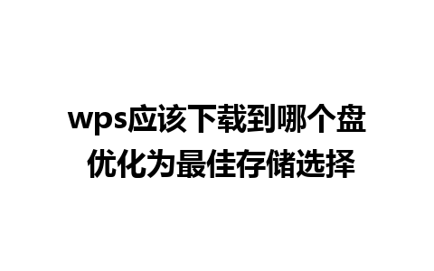 wps应该下载到哪个盘 优化为最佳存储选择