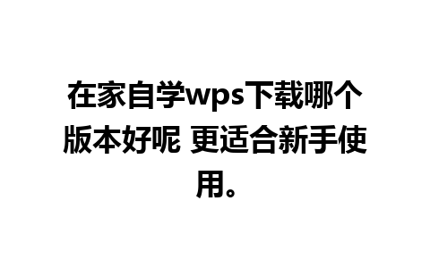 在家自学wps下载哪个版本好呢 更适合新手使用。