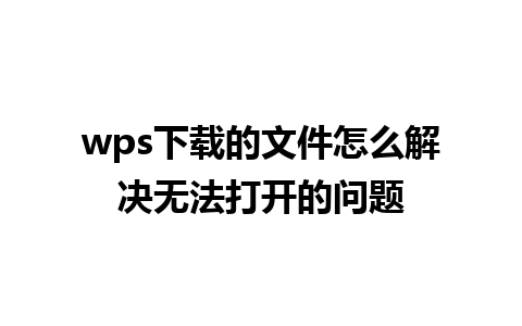 wps下载的文件怎么解决无法打开的问题 