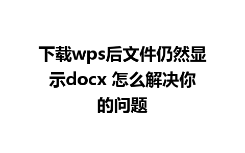 下载wps后文件仍然显示docx 怎么解决你的问题