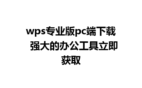 wps专业版pc端下载  强大的办公工具立即获取