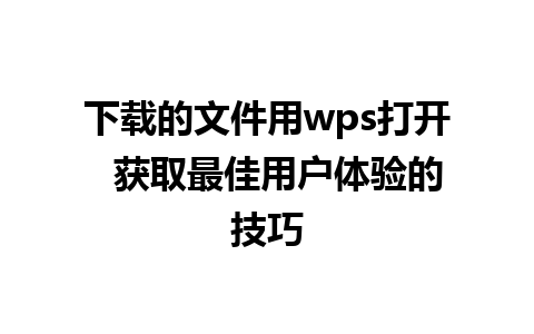 下载的文件用wps打开  获取最佳用户体验的技巧