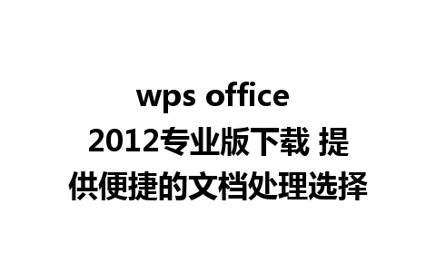 wps office 2012专业版下载 提供便捷的文档处理选择