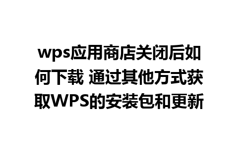 wps应用商店关闭后如何下载 通过其他方式获取WPS的安装包和更新