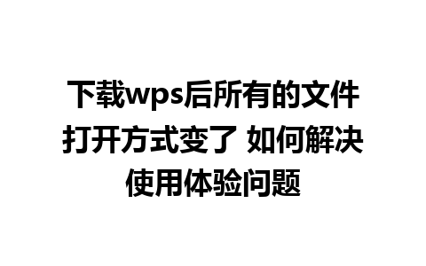 下载wps后所有的文件打开方式变了 如何解决使用体验问题