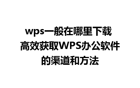 wps一般在哪里下载 高效获取WPS办公软件的渠道和方法