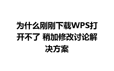 为什么刚刚下载WPS打开不了 稍加修改讨论解决方案