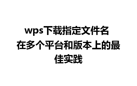 wps下载指定文件名 在多个平台和版本上的最佳实践