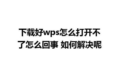 下载好wps怎么打开不了怎么回事 如何解决呢