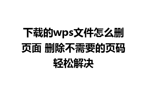 下载的wps文件怎么删页面 删除不需要的页码轻松解决