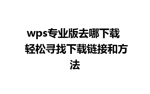 wps专业版去哪下载  轻松寻找下载链接和方法