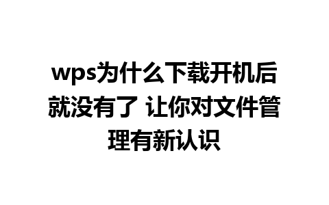 wps为什么下载开机后就没有了 让你对文件管理有新认识