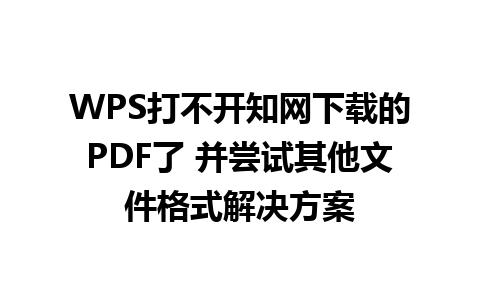 WPS打不开知网下载的PDF了 并尝试其他文件格式解决方案