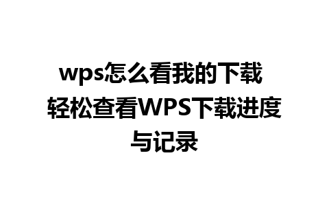 wps怎么看我的下载 轻松查看WPS下载进度与记录