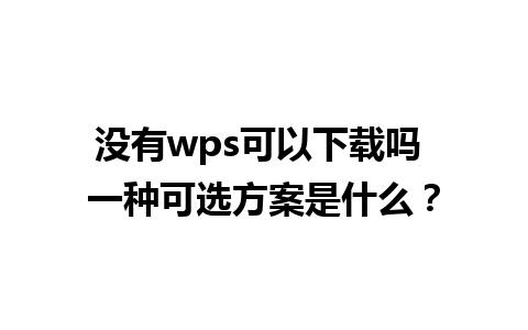 没有wps可以下载吗 一种可选方案是什么？